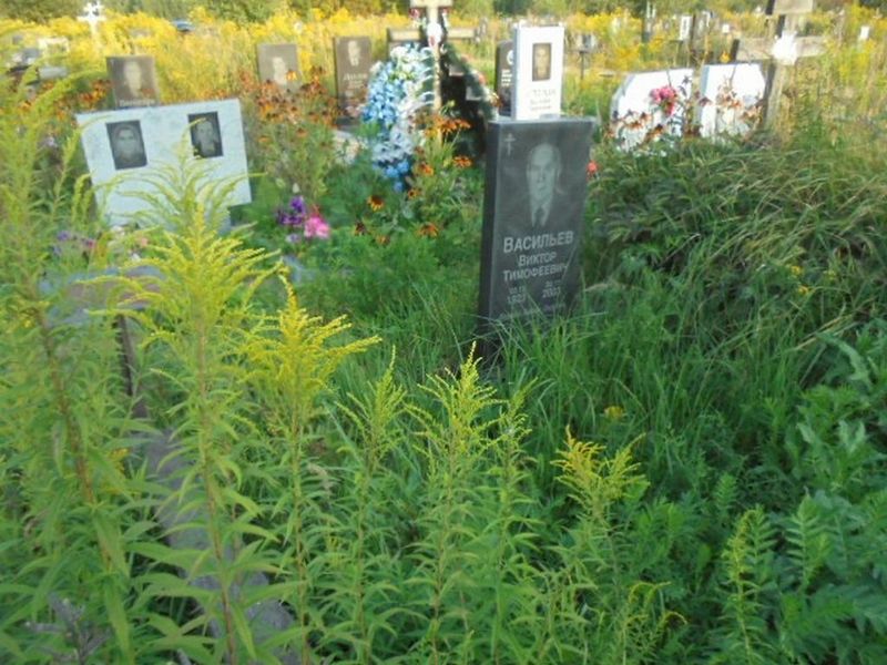 Васильев Виктор Тимофеевич