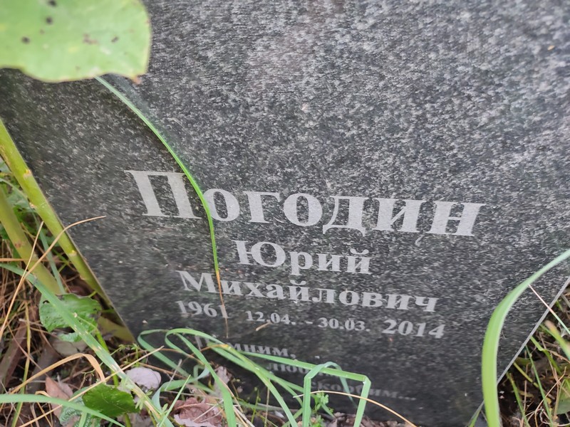 Погодин