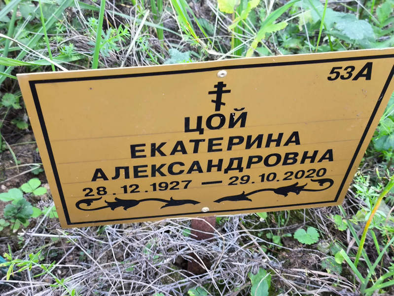 Цой