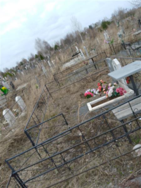 Шнитуленко Вера Николаевна