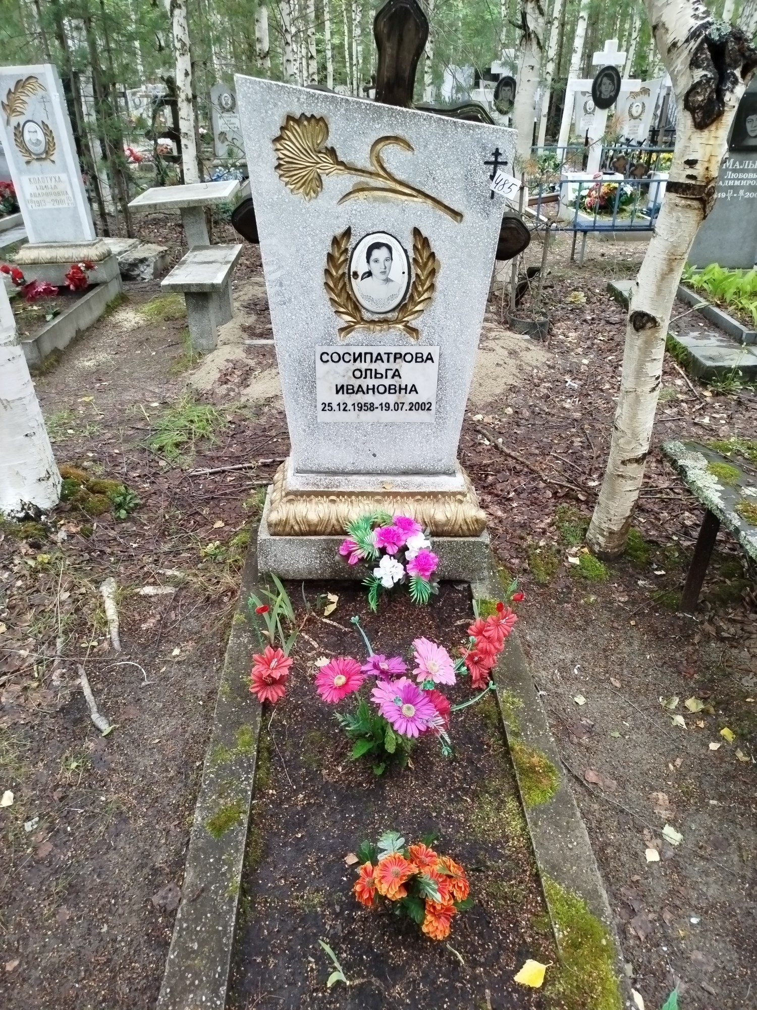 Сосипатрова Ольга Ивановна