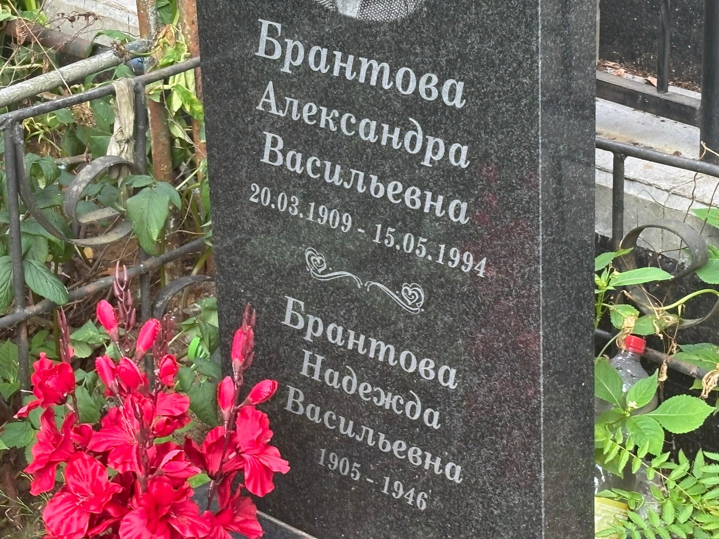 Брантова Александра Васильевна