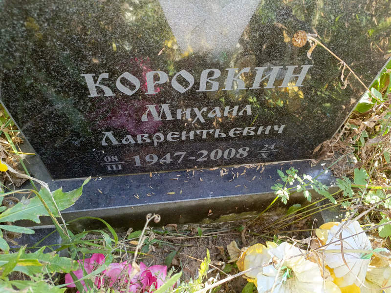 Коровкин