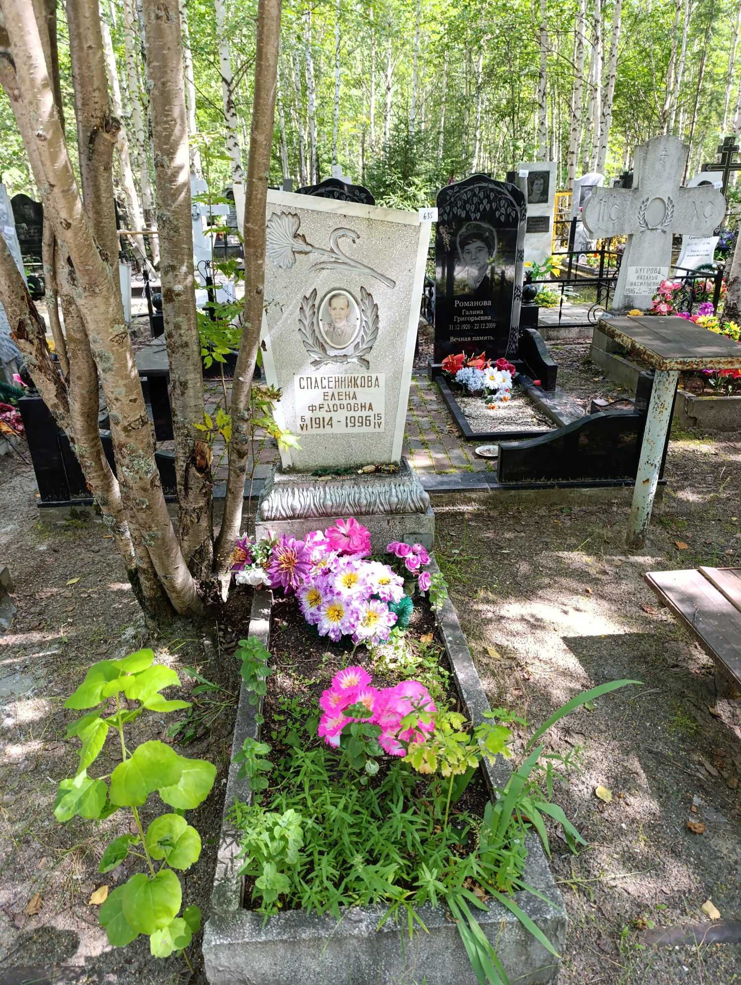 Спасенникова Елена Федоровна