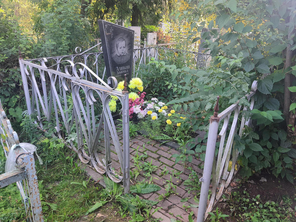 Алюков Дмитрий