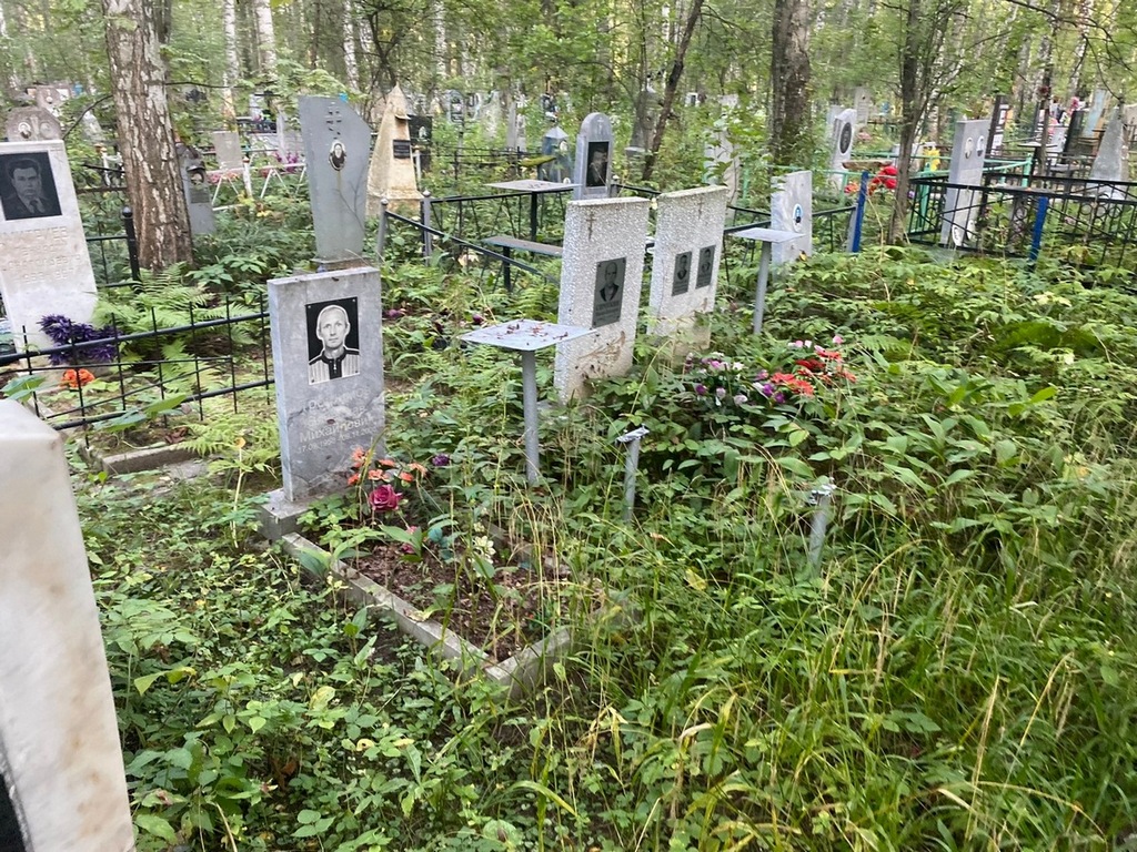 Трофимов Вячеслав Михайлович