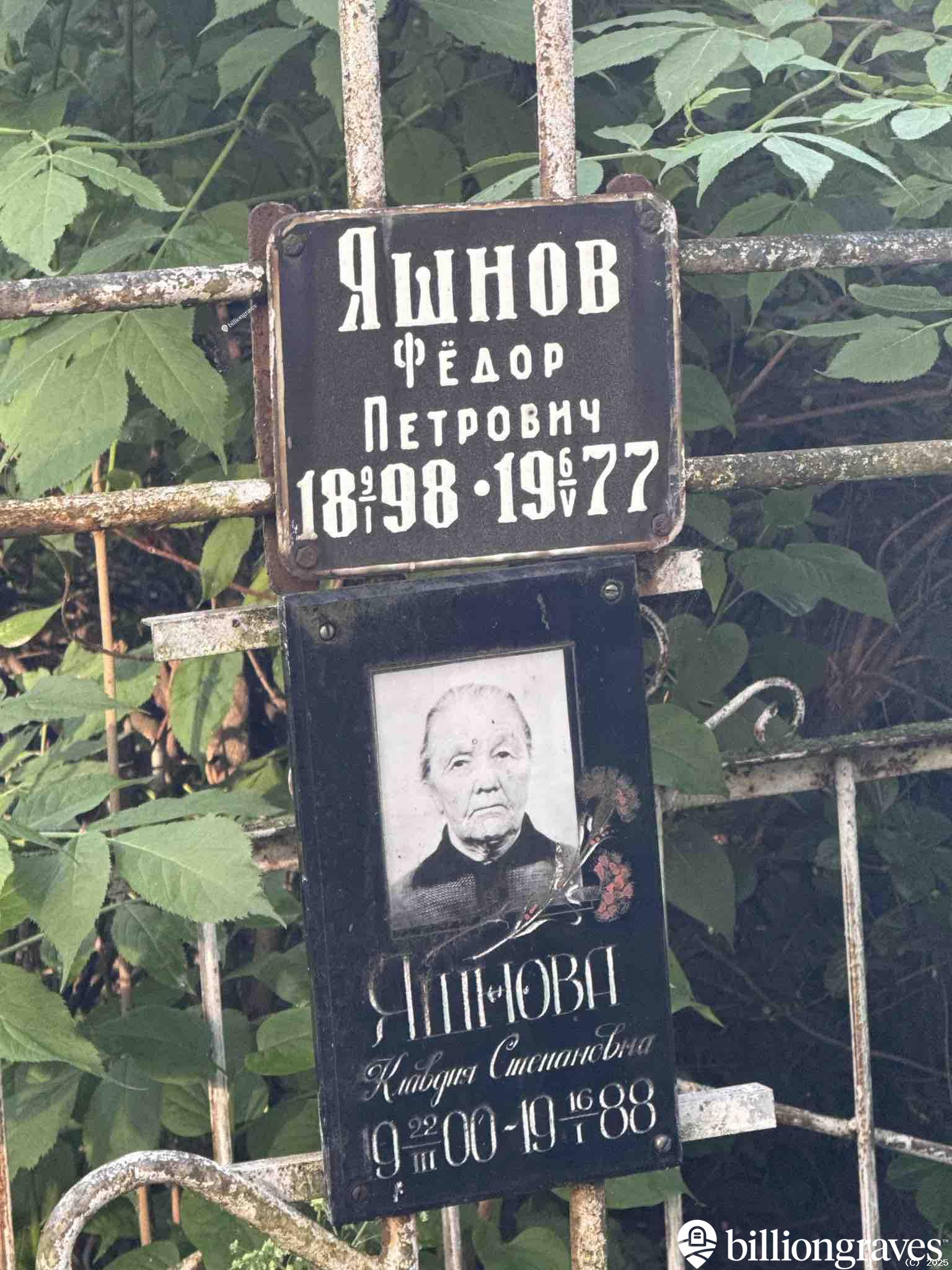 Яшнова Клавдия Степановна