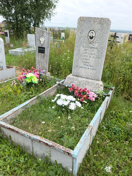 Медовщиков Алексей Сергеевич