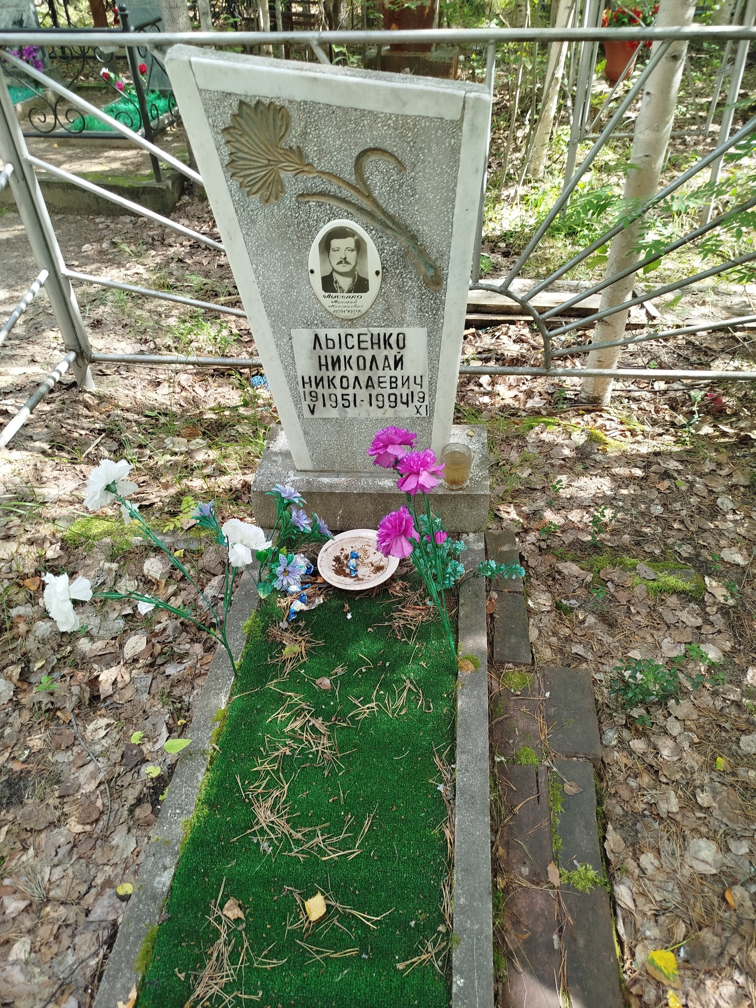 Лысенко Николай Николаевич