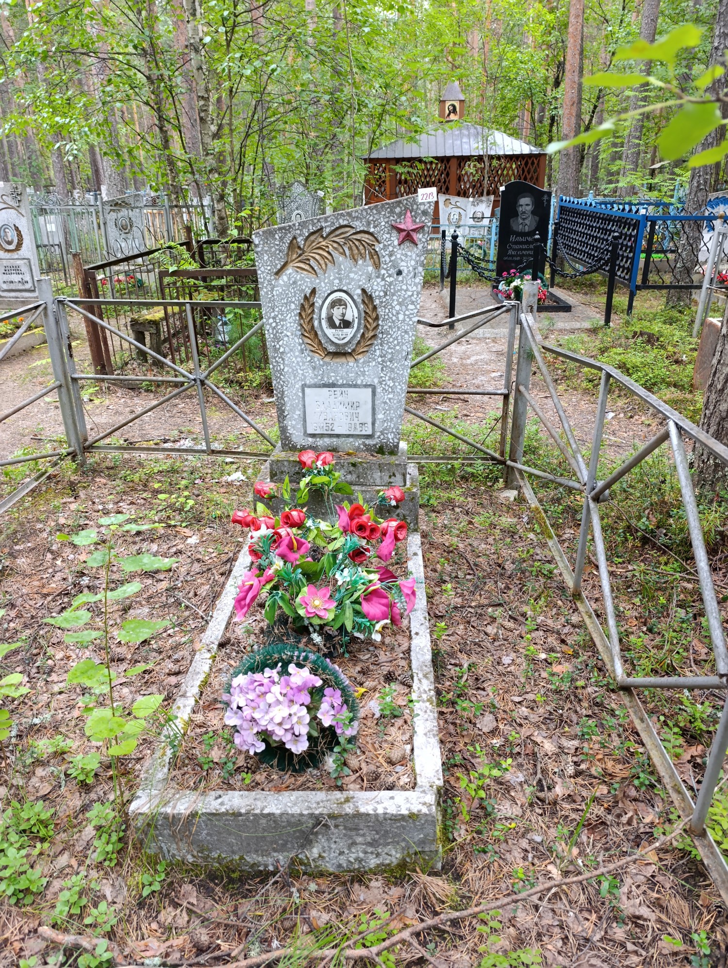 Рейн Владимир Иванович