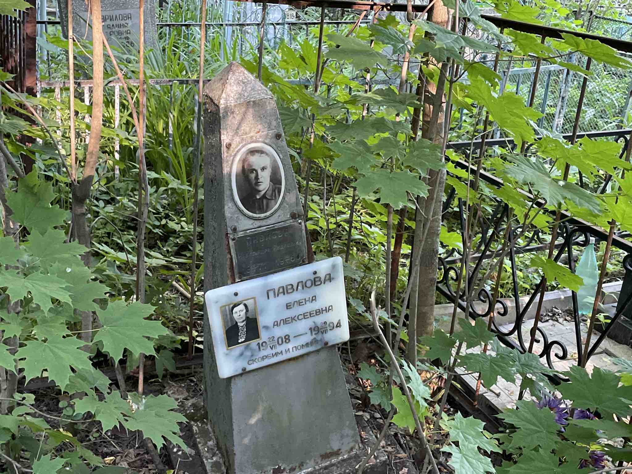 Павлова Елена Алексеевна