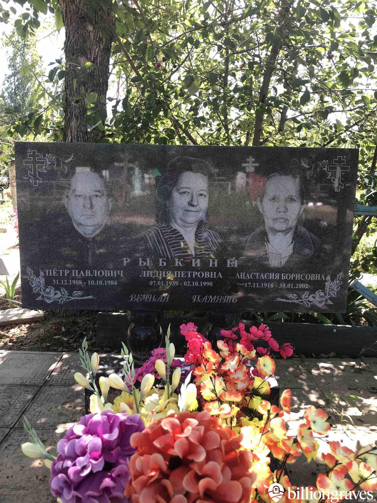 Рыбкина Анастасия Борисовна