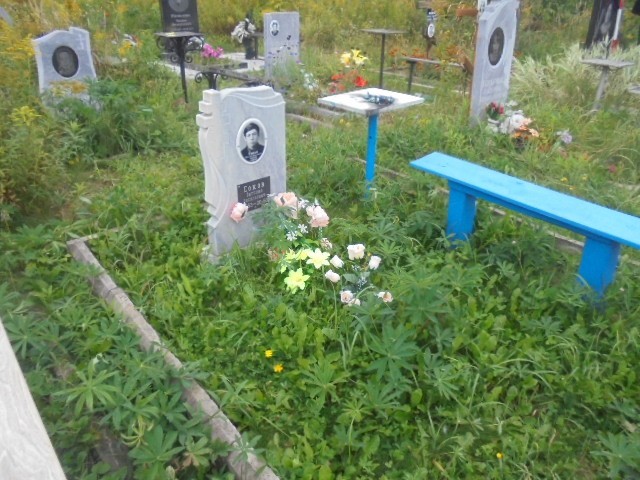 Соков Виталий Васильевич