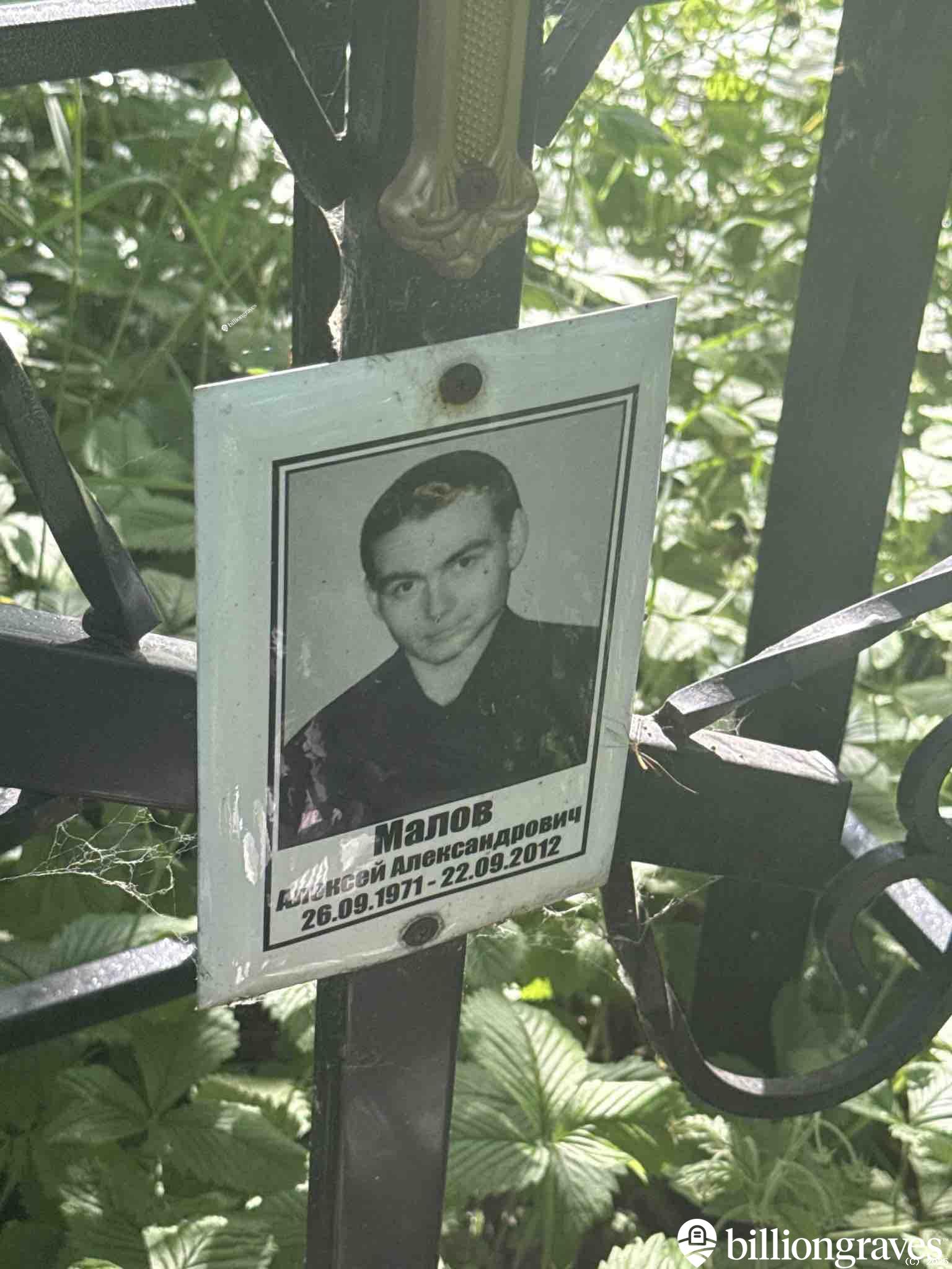 Малов Алексей Александрович