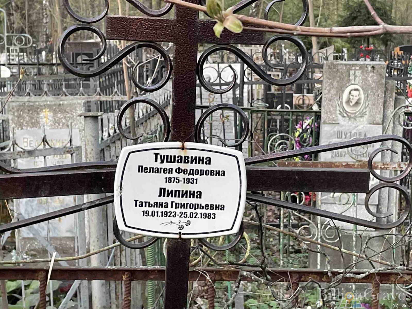 Липина Татьяна Григорьевна