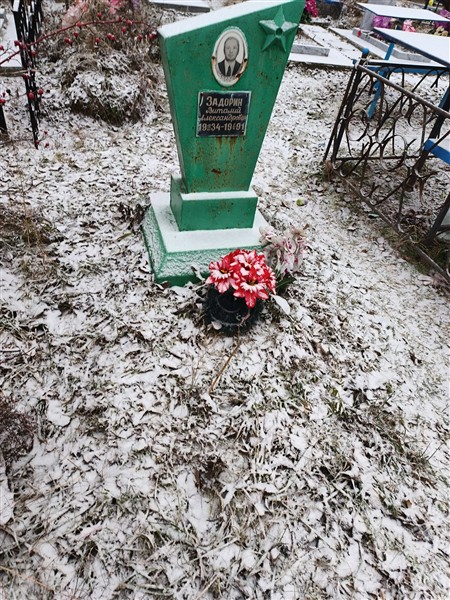 Задорин Виталий Александрович