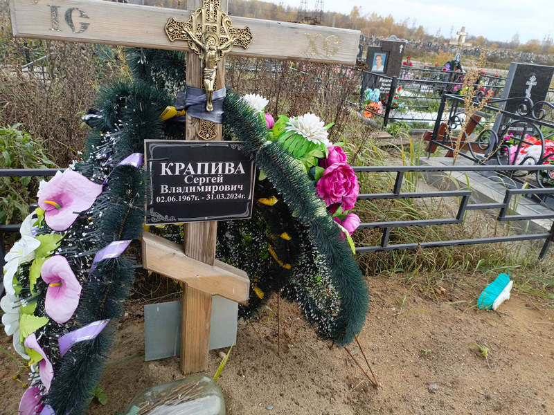 Крапива