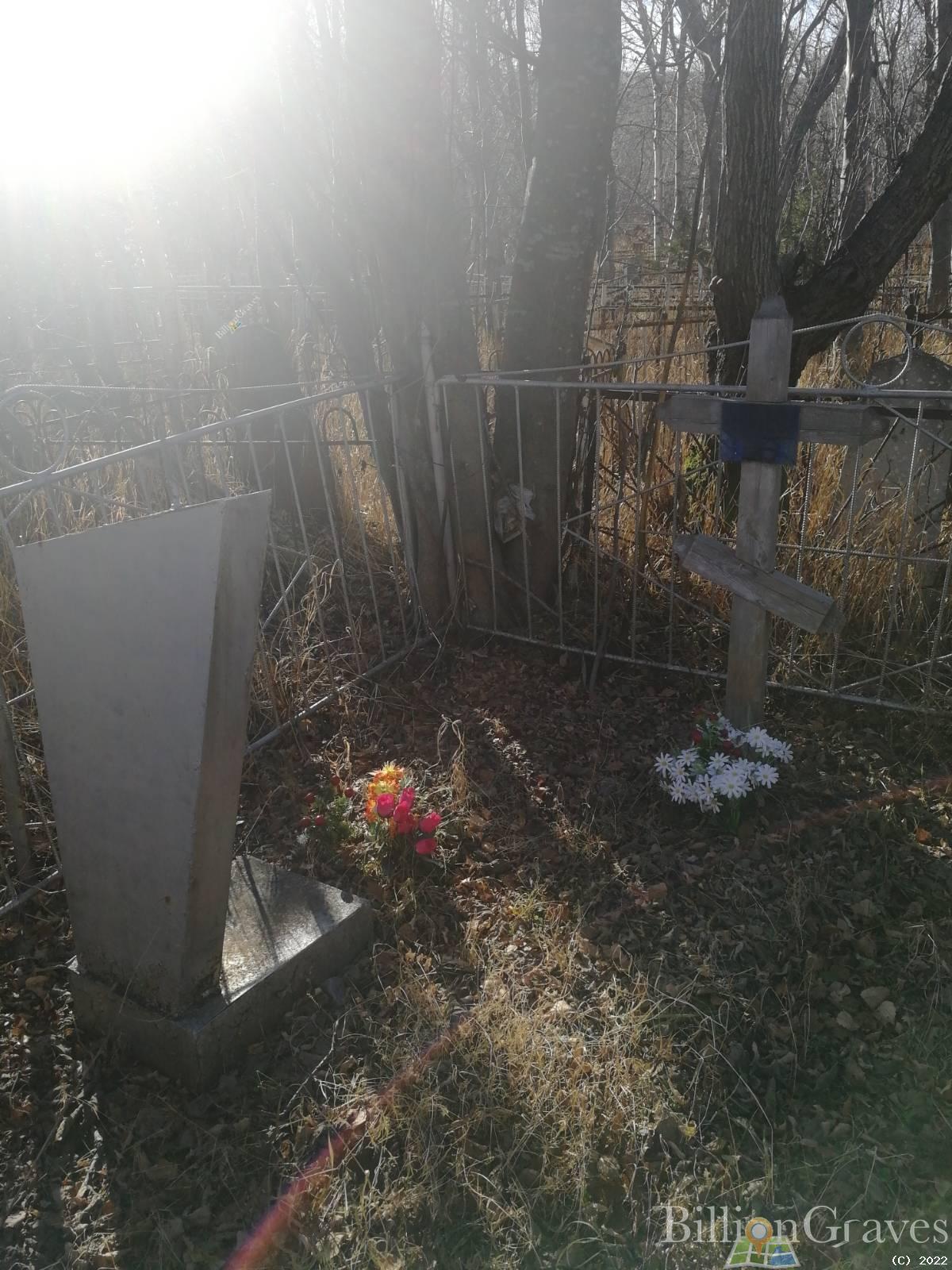 Волохова Анастасия Наумовна