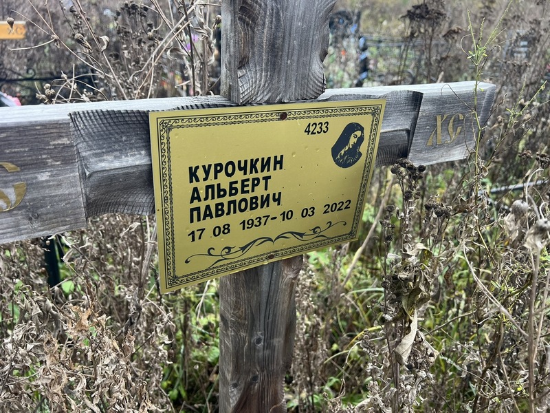 Альберт Курочкин Павлович