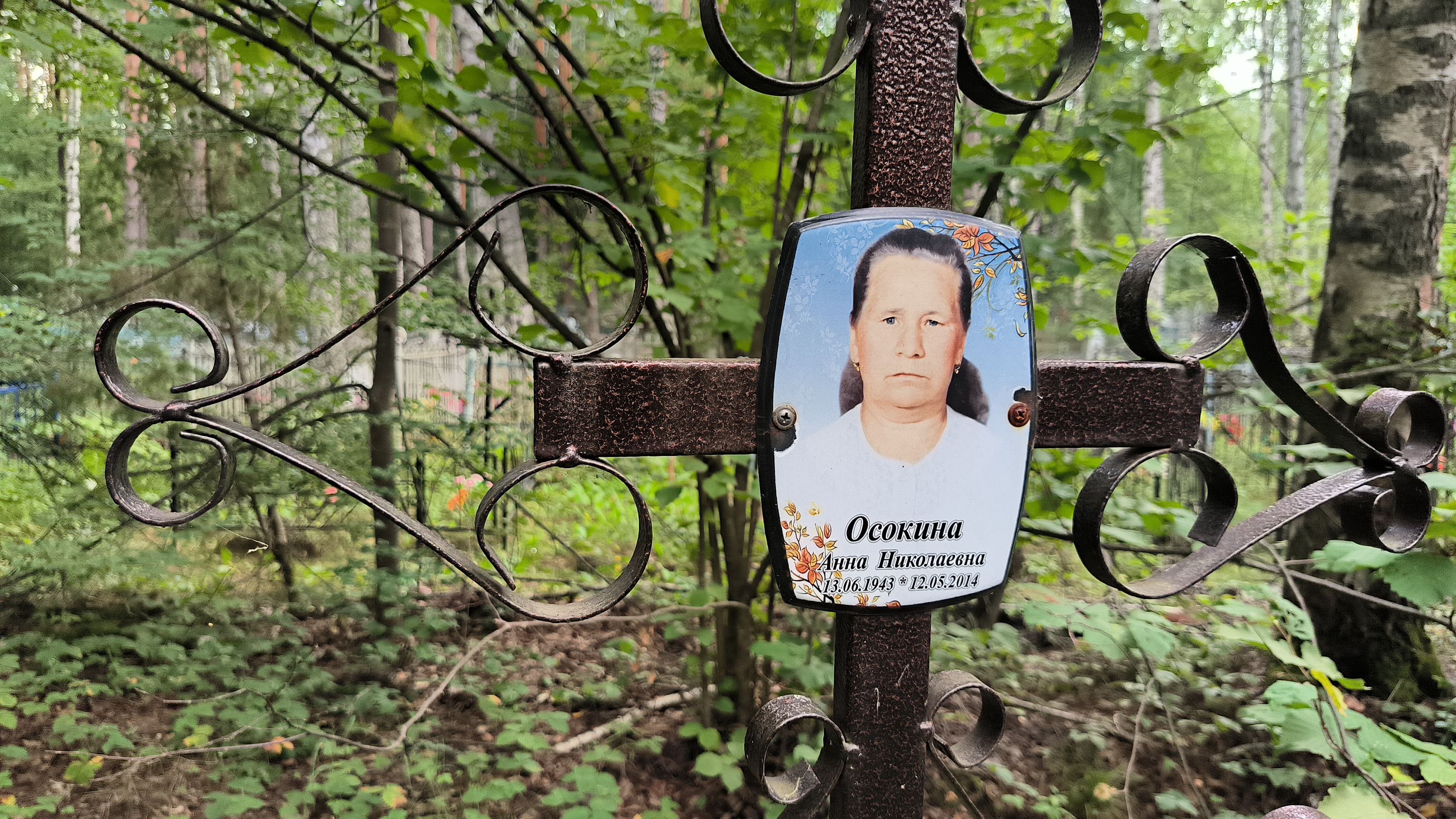 Осокина Анна Николаевна