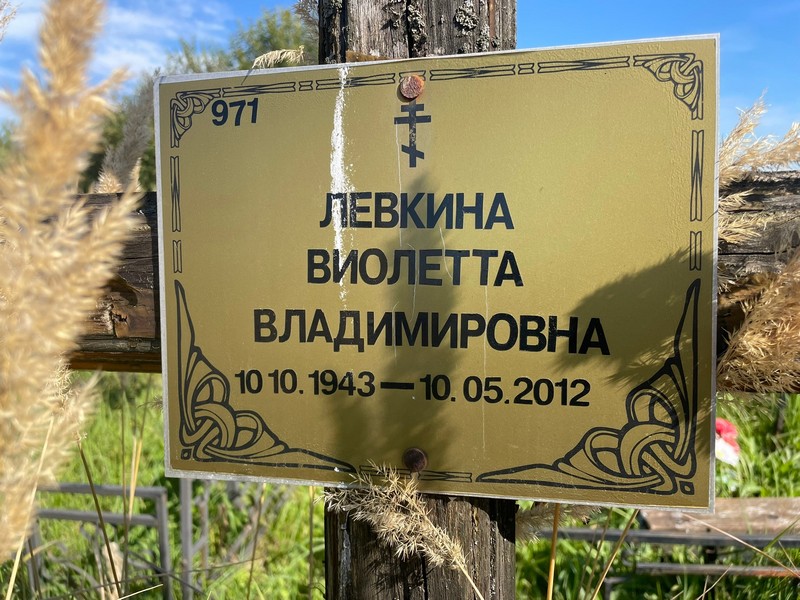 Виолетта Левкина Владимировна