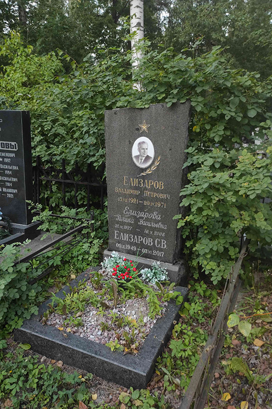 Елизаров С. В.