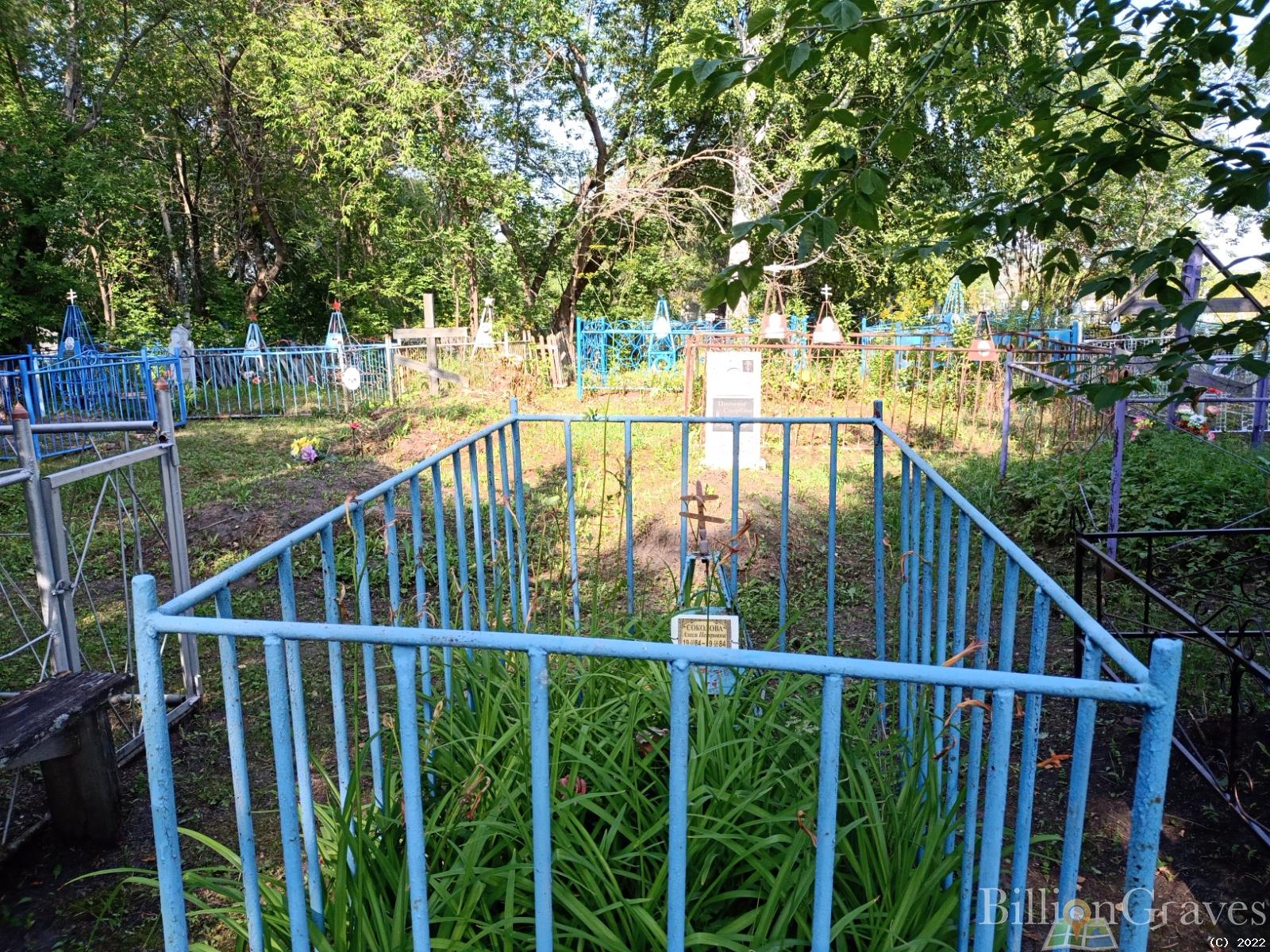 Соколова Алеся Петровна