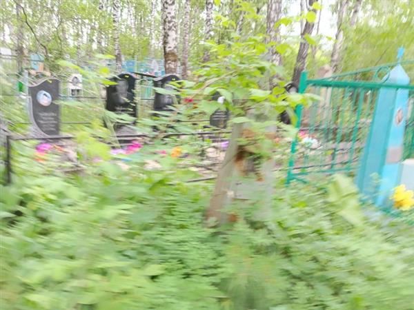 Мусанов Кирилл Дмитриевич