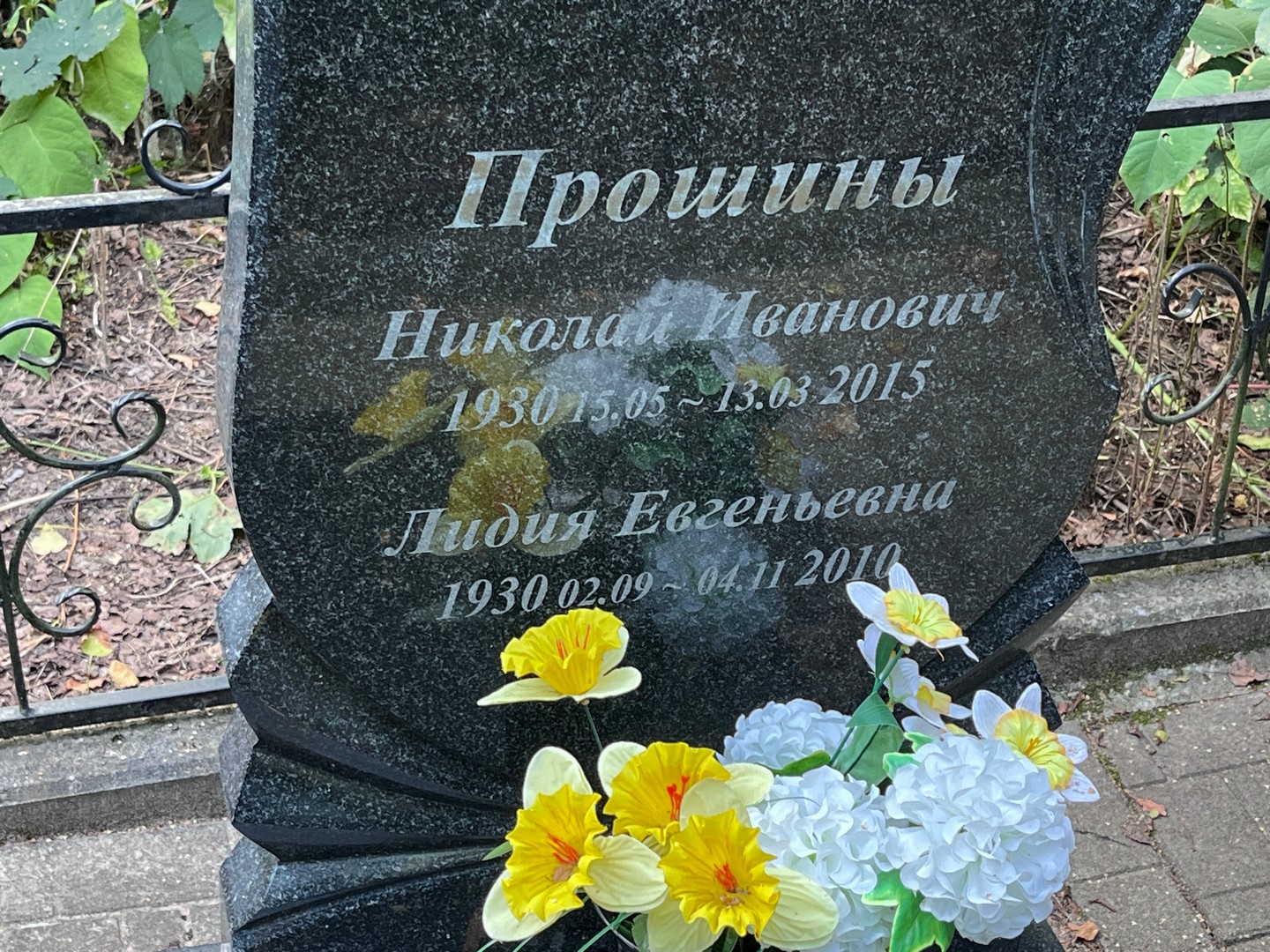 Прошина