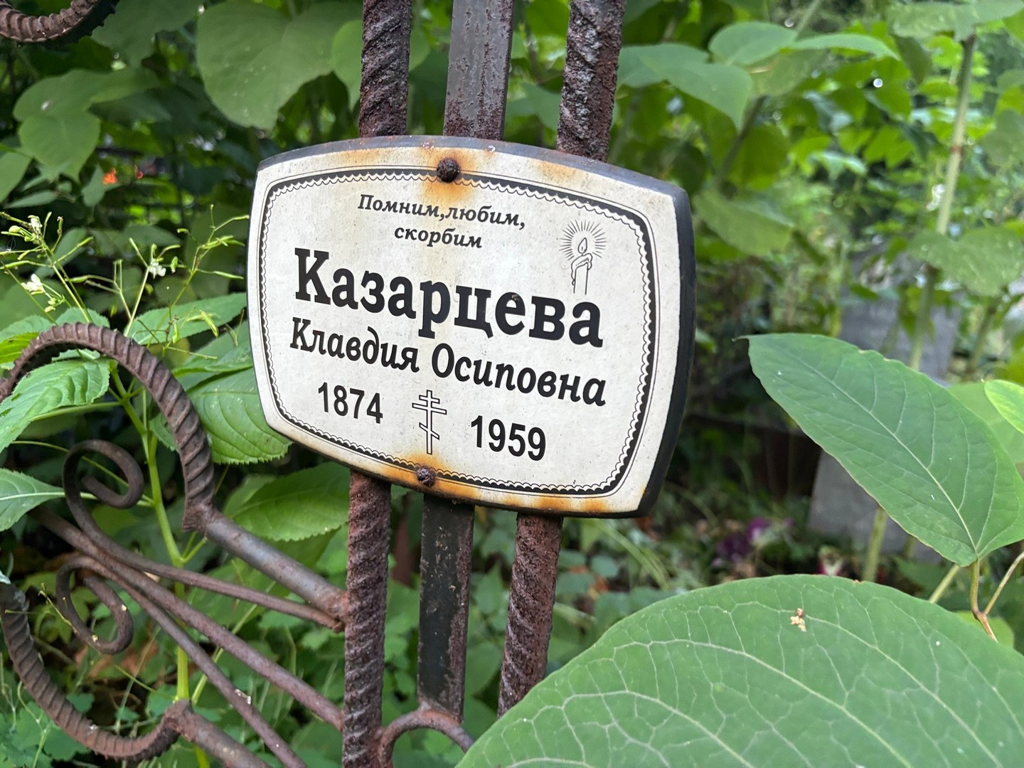 Казарцева