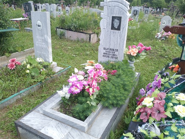 Цыганков Алексей Николаевич