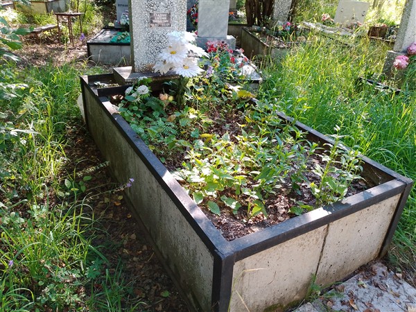 Гладких Евгений Яковлевич