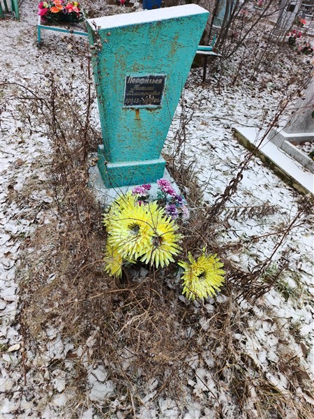 Перфильев Николай Дмитриевич