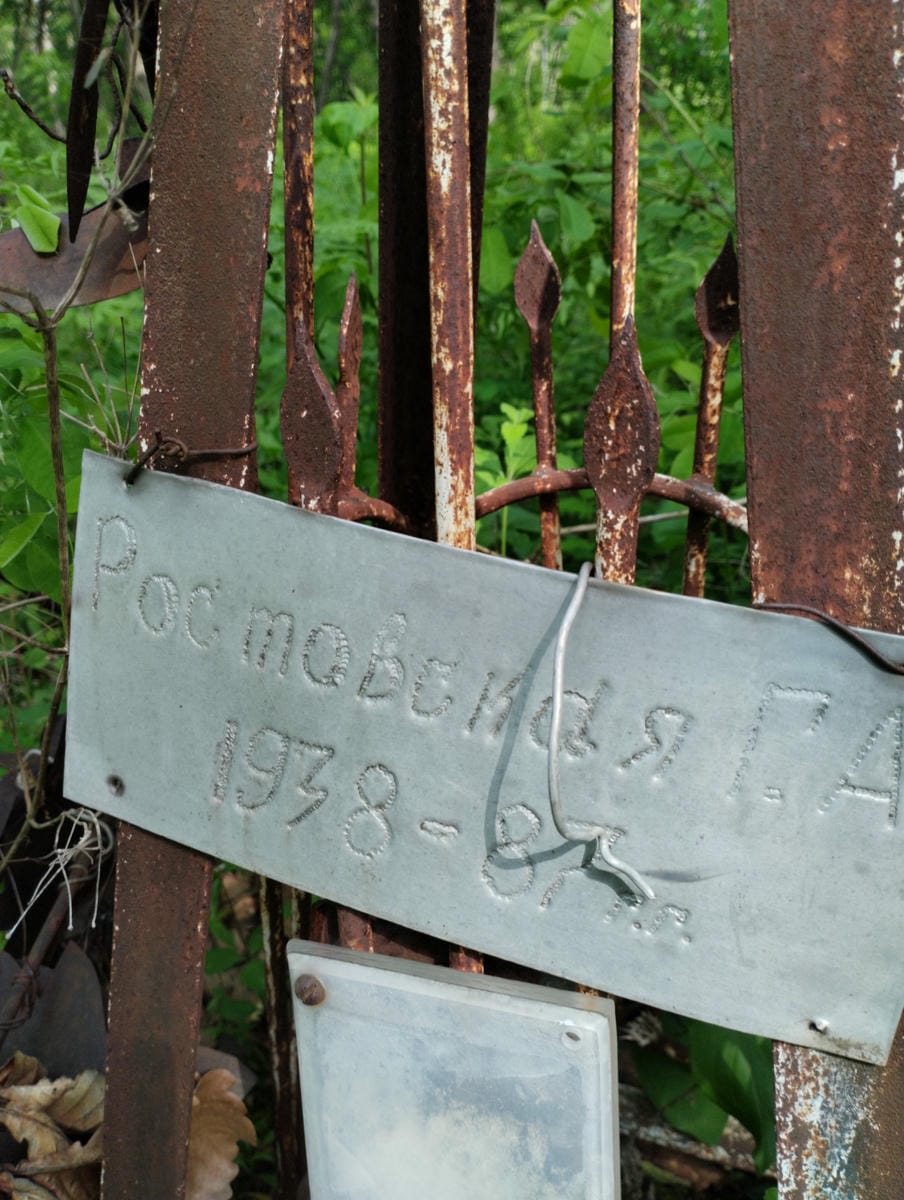 Ростовская Г А
