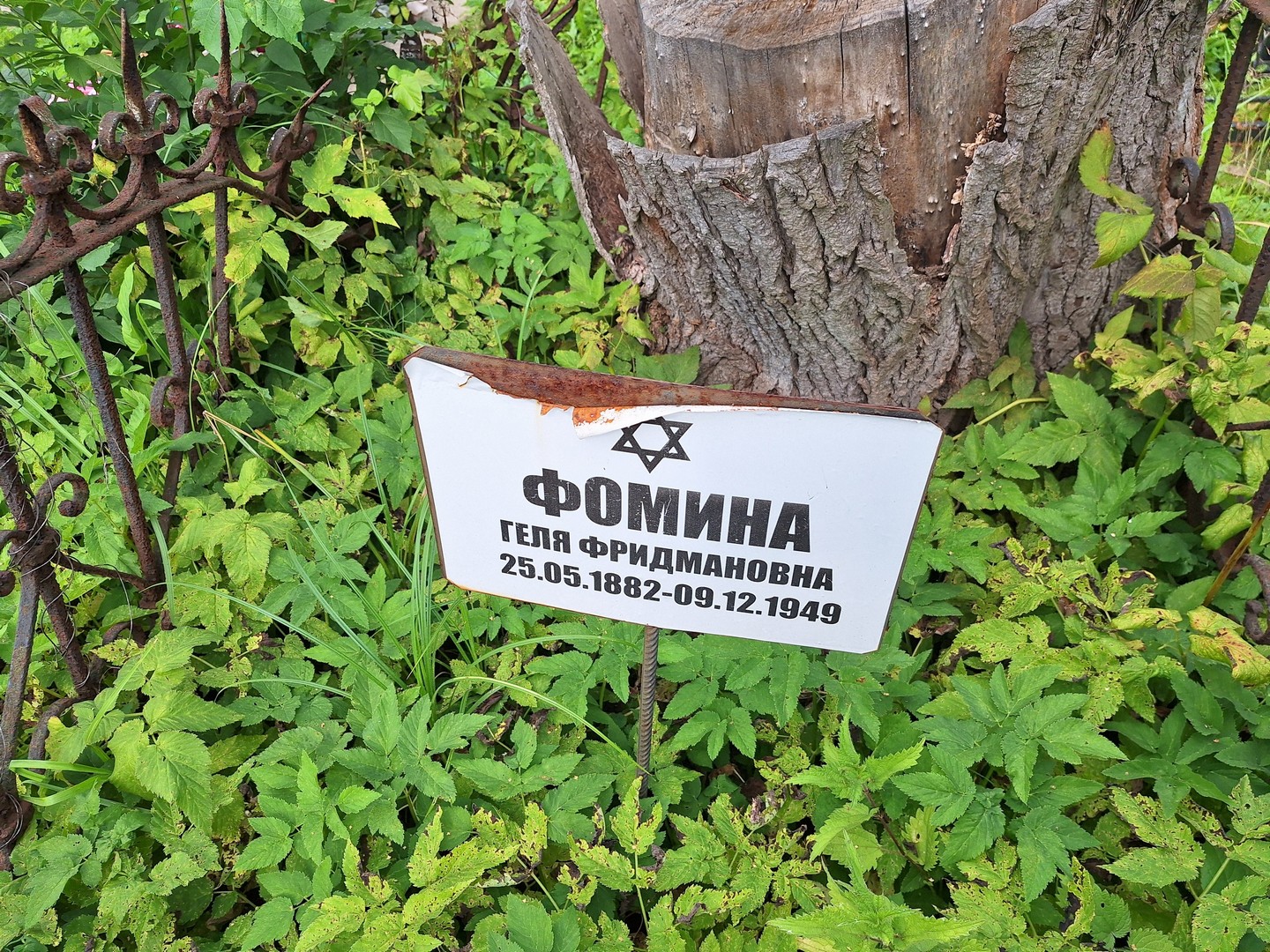 Геля Фомина Фридмановна