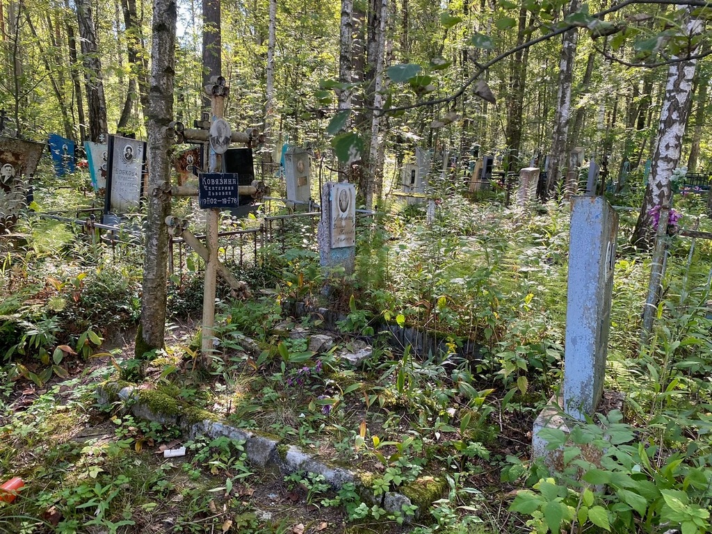 Ковязина Екатерина Львовна