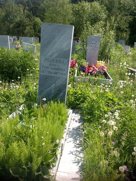 Рыкова Анна Григорьевна