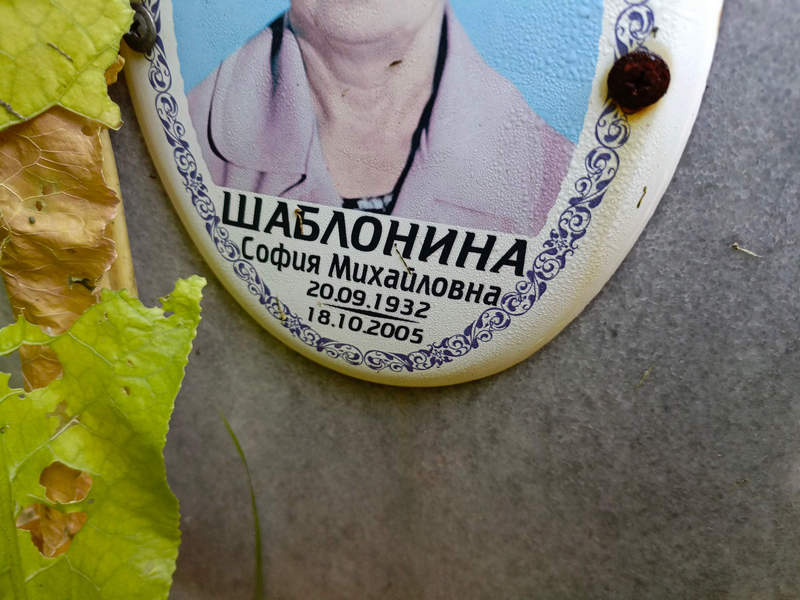 София Шаблонова Михайловна