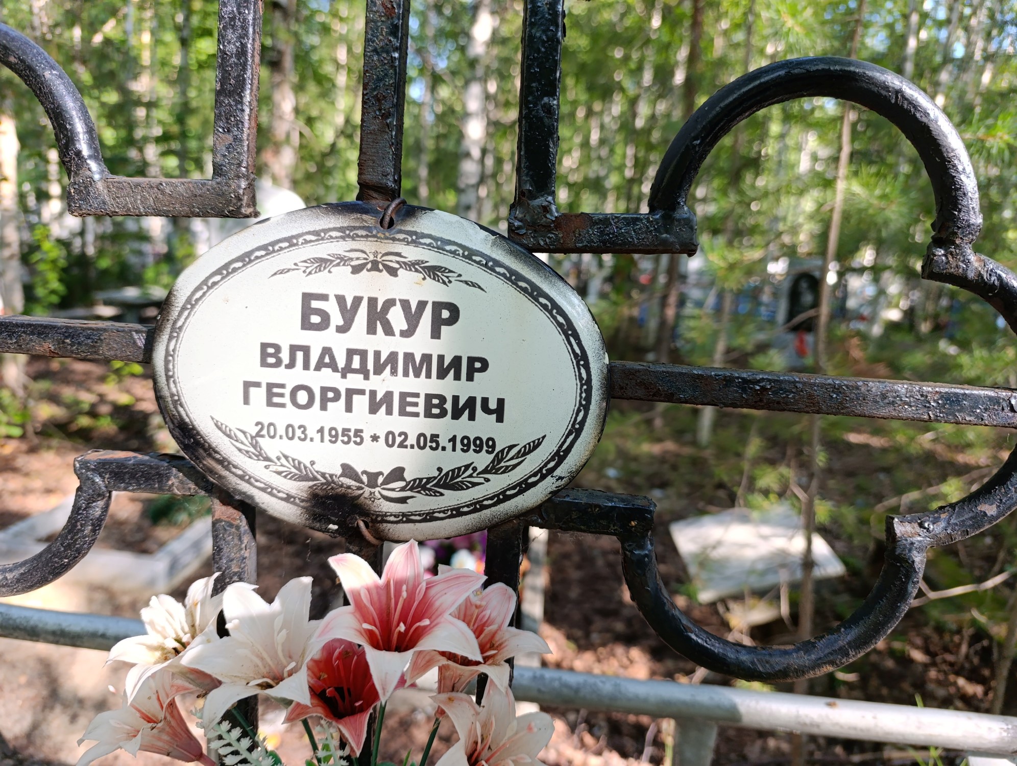 Букур Владимир Георгиевич