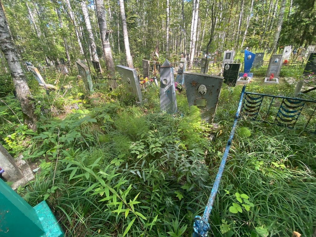 Доманов Юрий Антонович