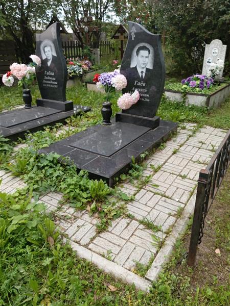 Гаев Алексей Моисеевич