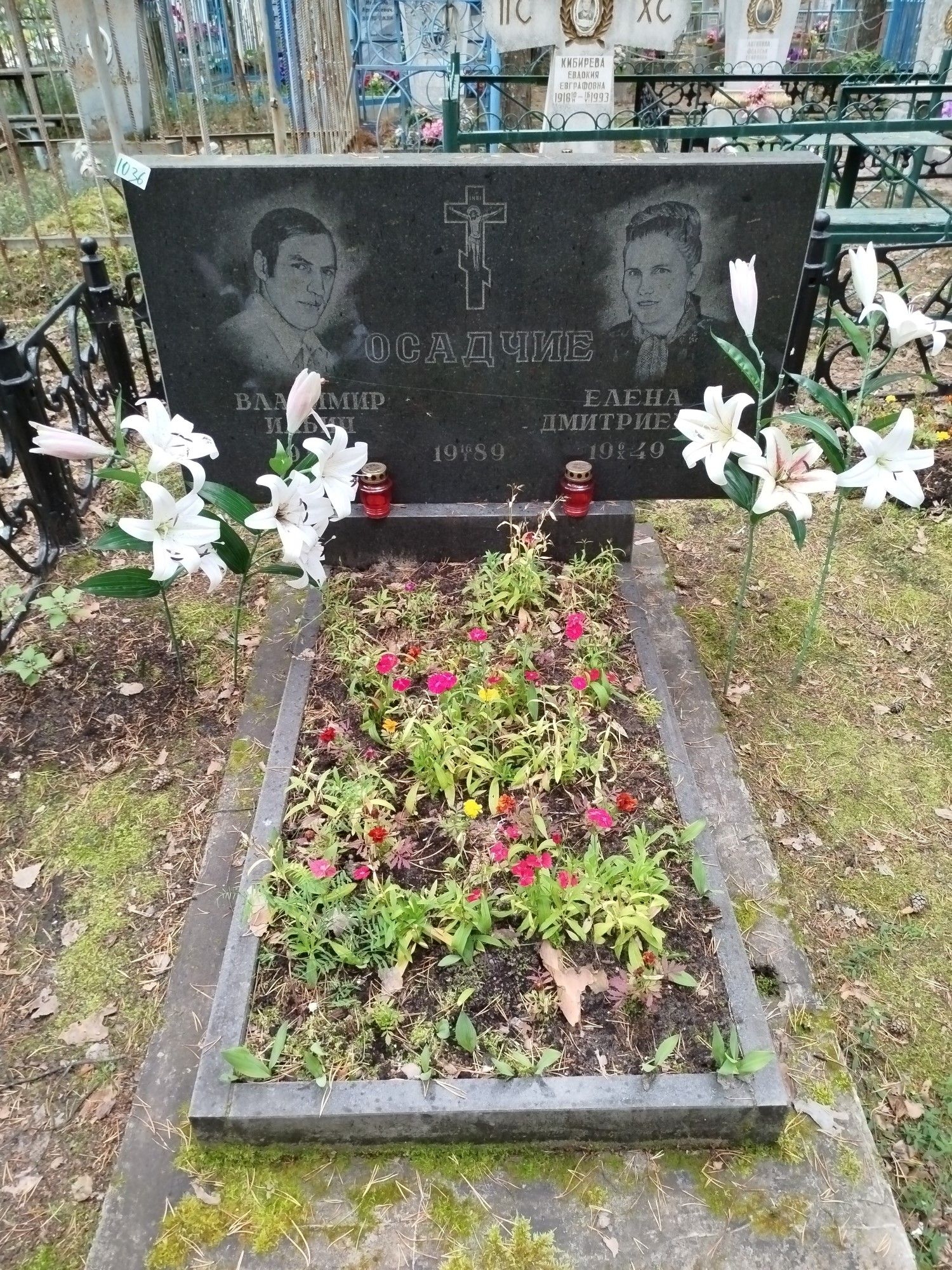 Осадчая Елена Дмитриевна
