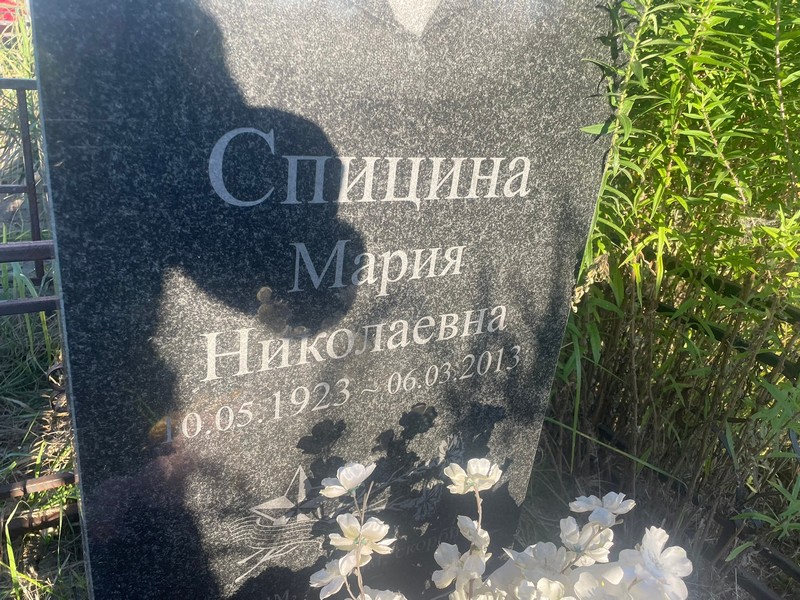 Спицина
