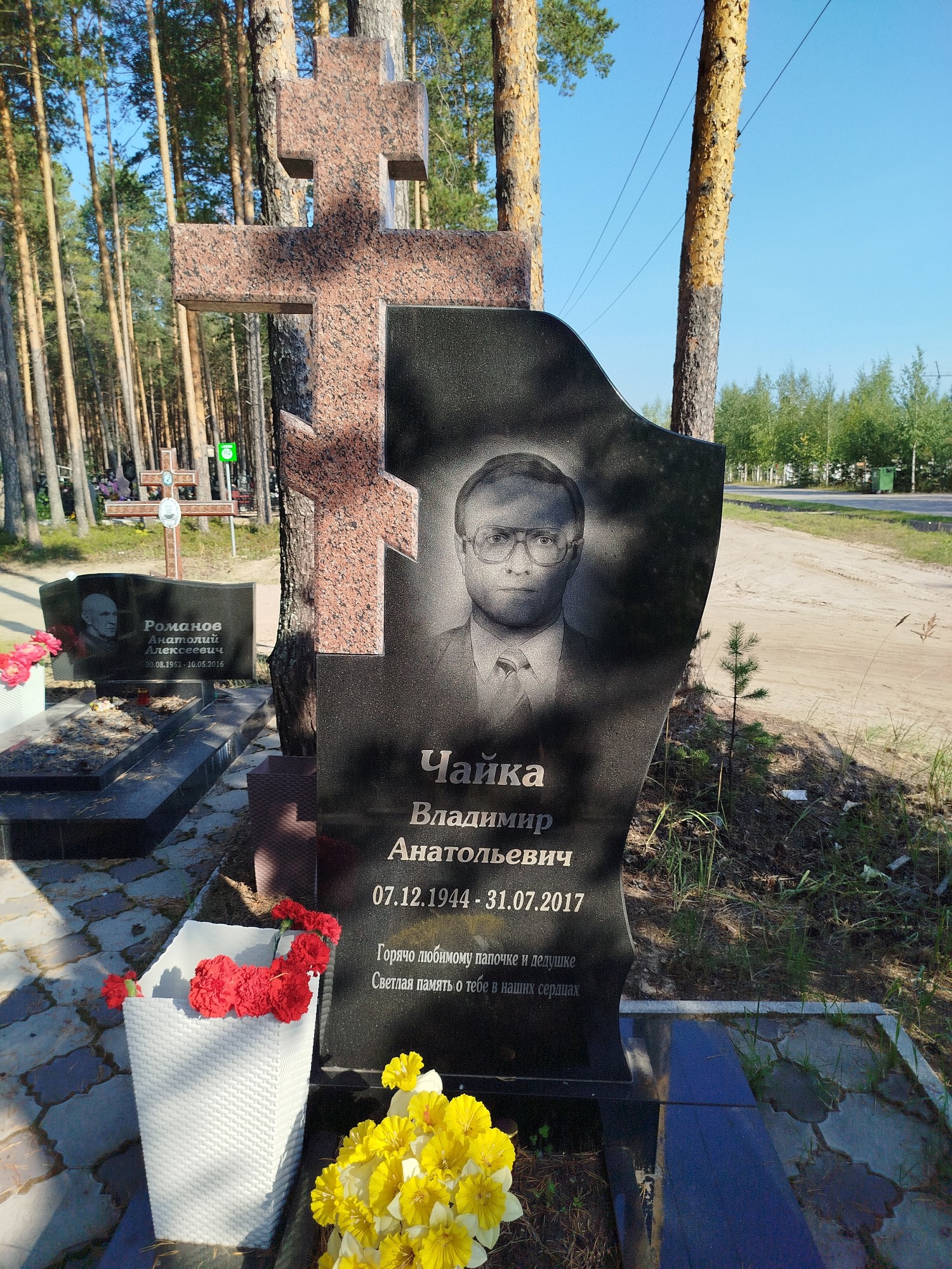 Чайка Владимир Анатольевич