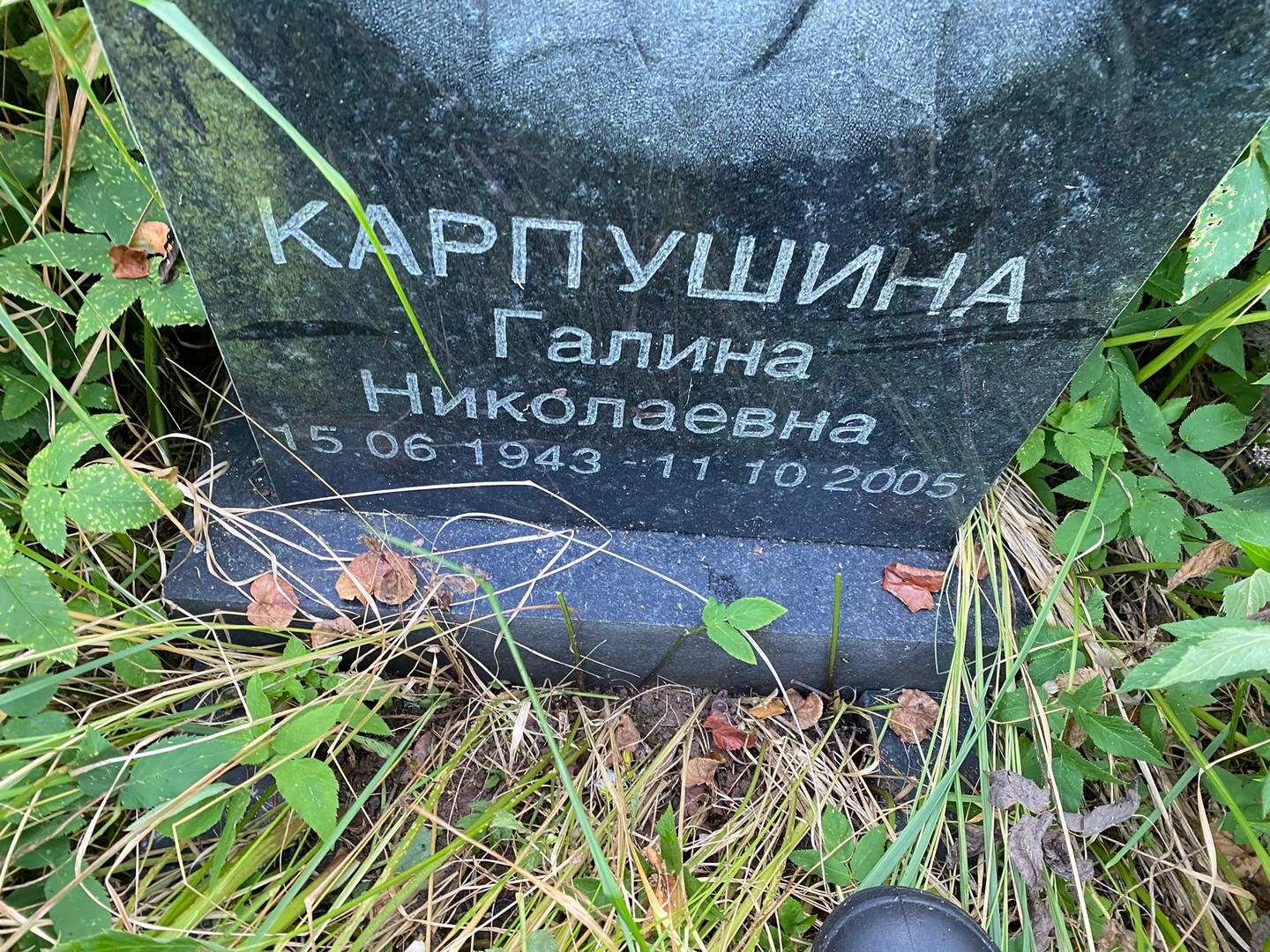 Карпушина