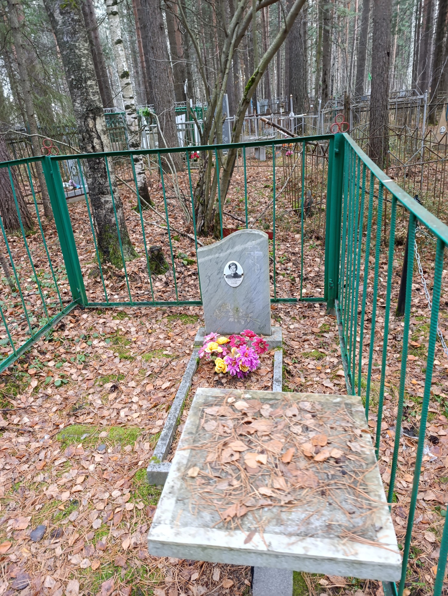 Трифонова Анастасия Фарафоновна