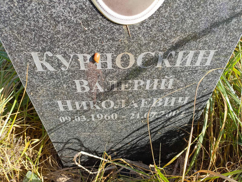 Курноскин
