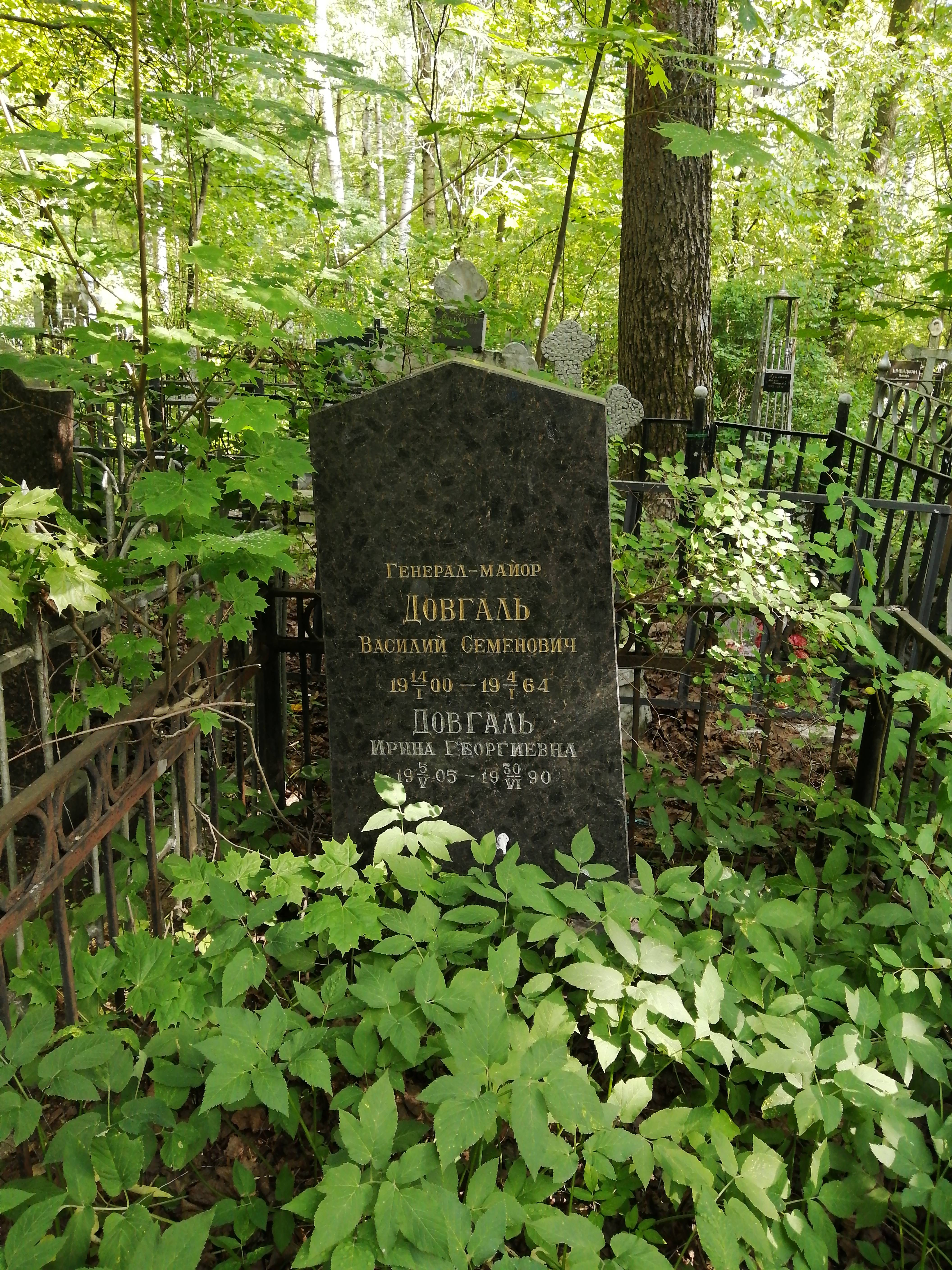 Довгаль Ирина Георгиевна