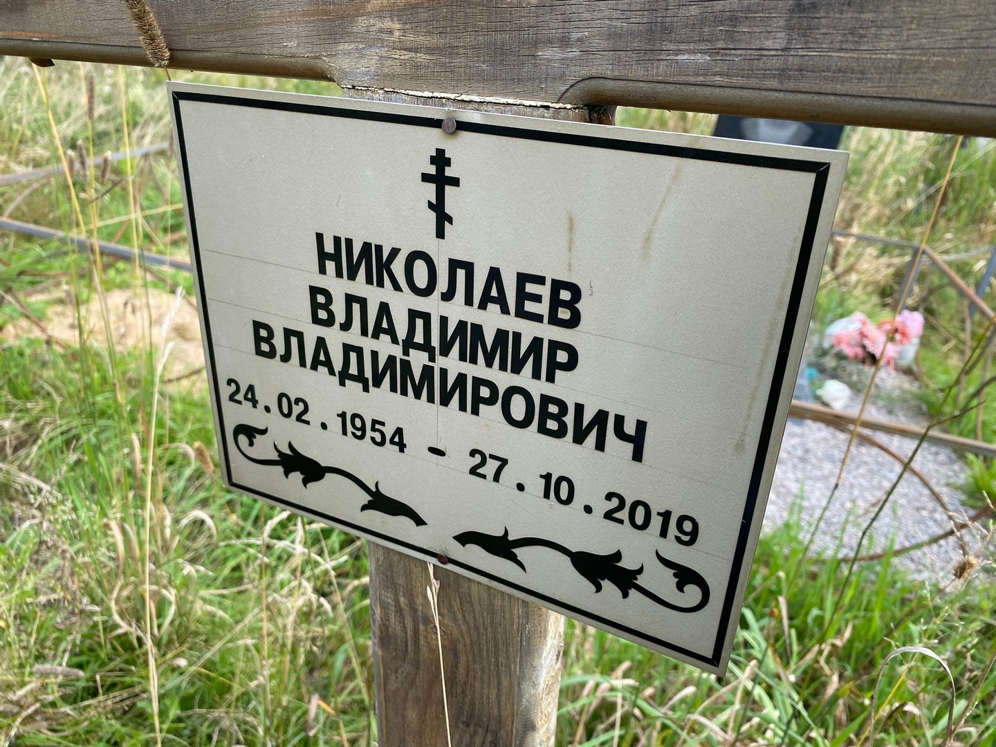 Николаев