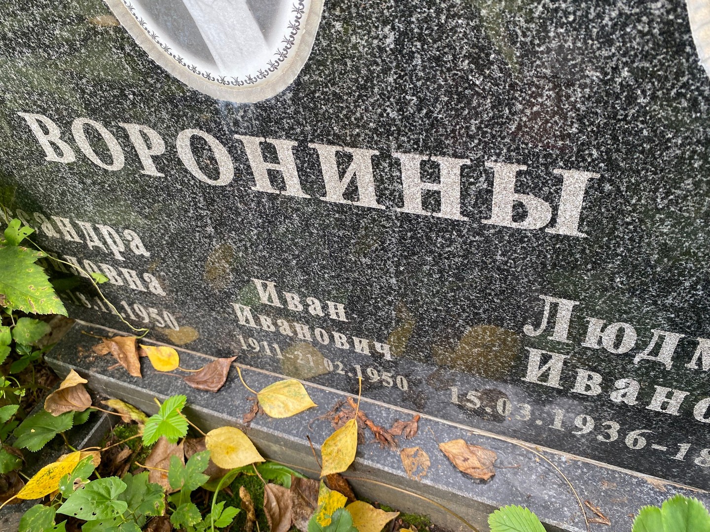 Воронин